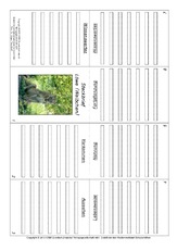 Faltbuch-Löwe-2.pdf